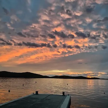 And Franka * Zaboric