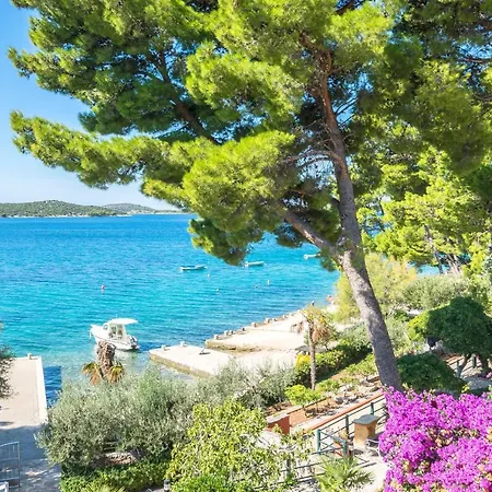 And Franka Apartamento Zaboric