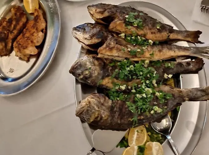 And Franka * Zaboric