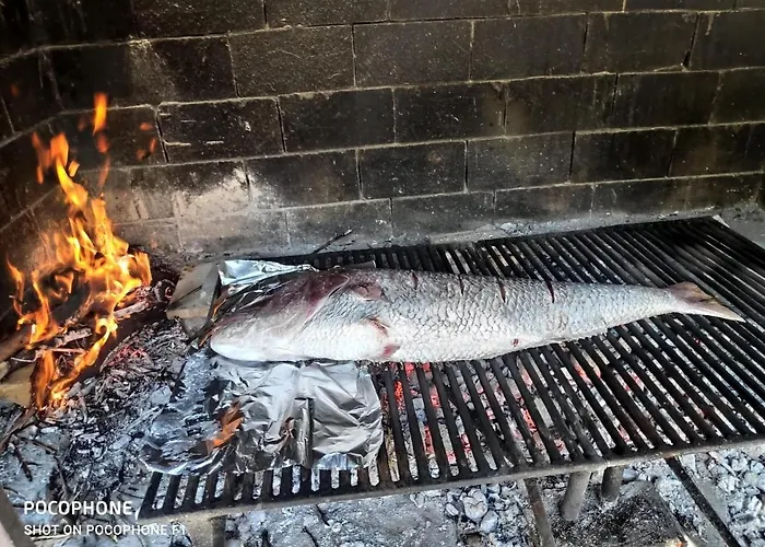 Apartman And Franka *